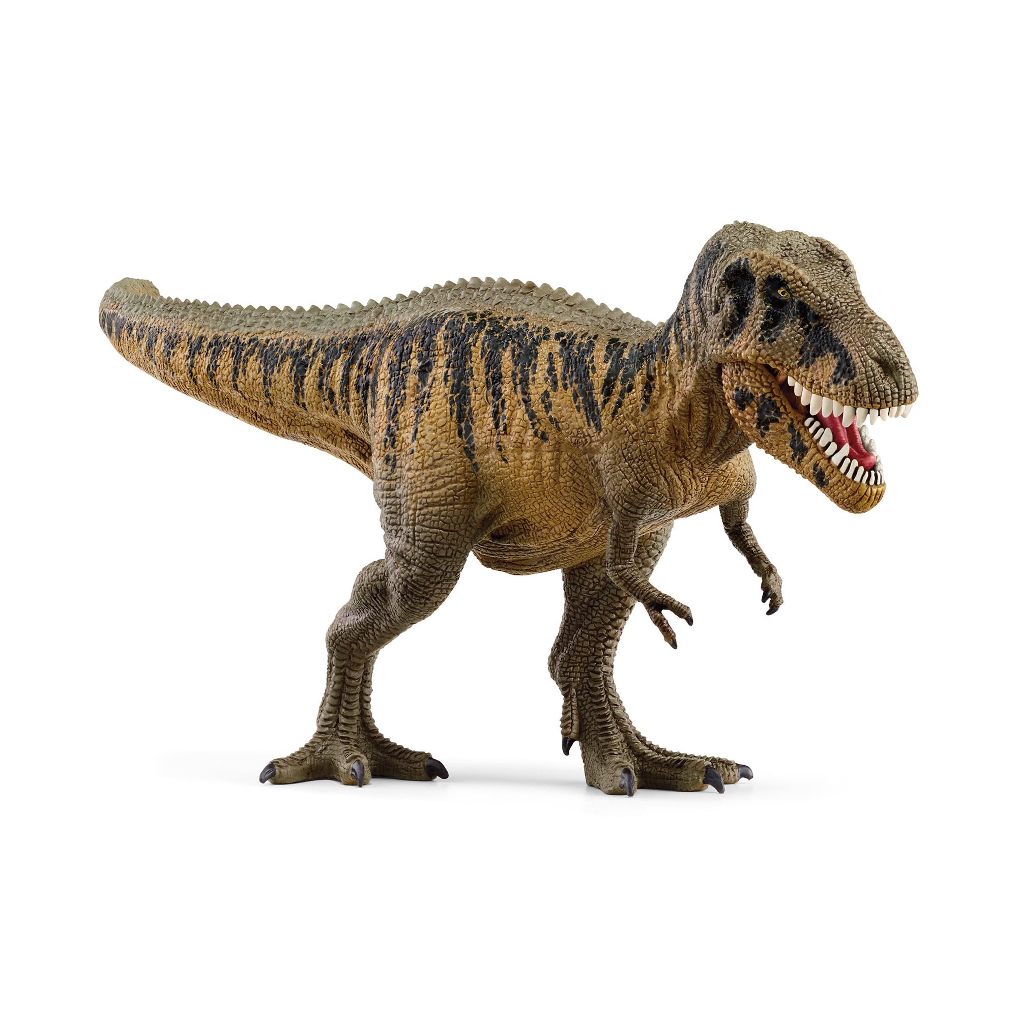 Tarbosaurus Schleich Braun 2000583841500 1