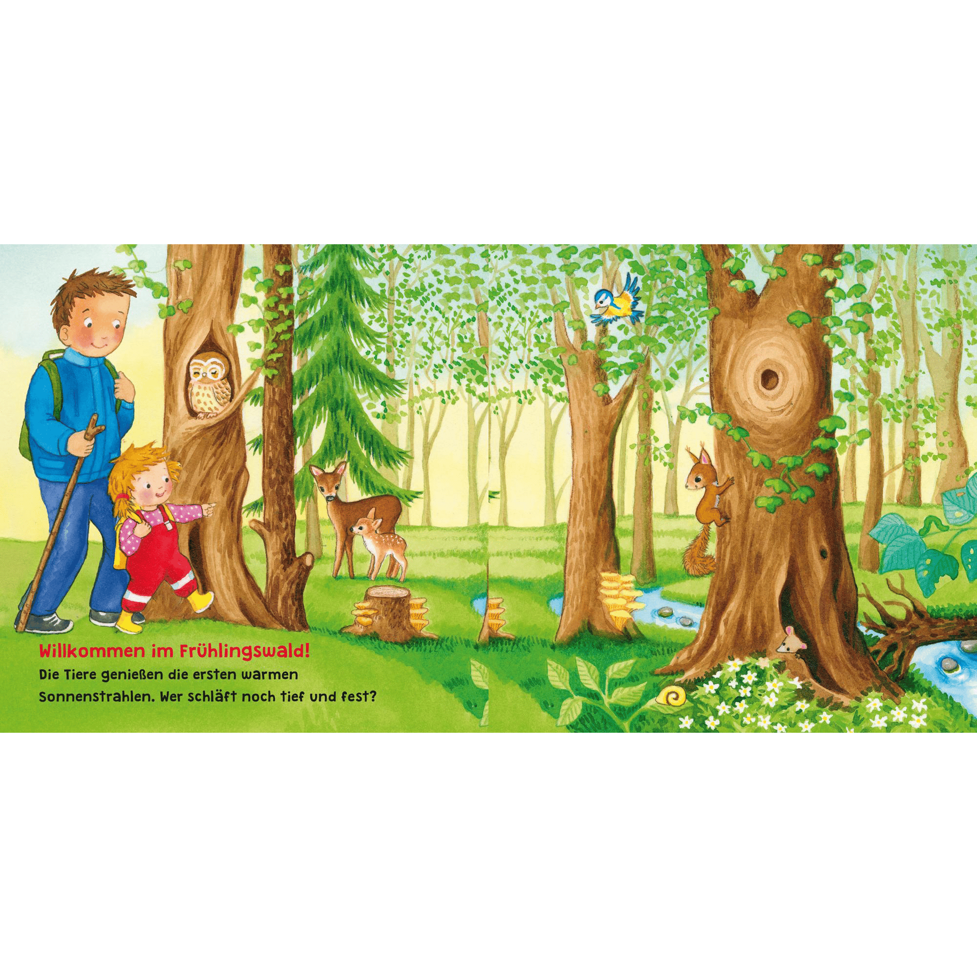 Baby Pixi (unkaputtbar) 129: Mein Lieblingsbuch vom Wald CARLSEN Grün 2000584911905 2