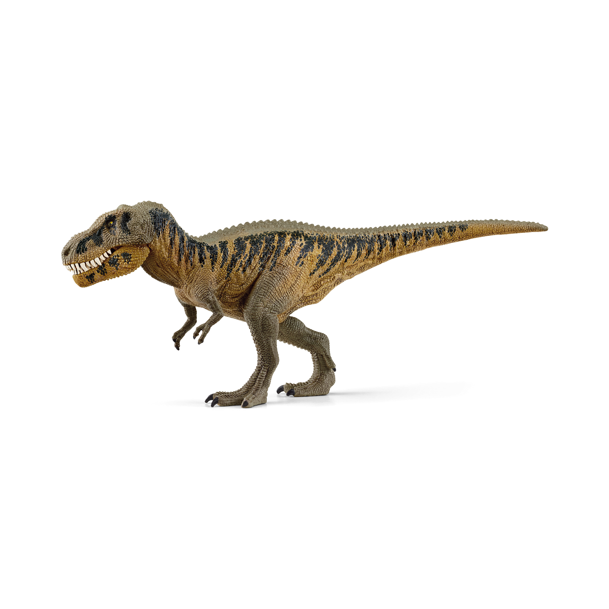 Tarbosaurus Schleich Braun 2000583841500 2